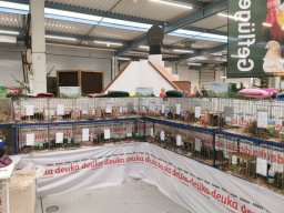 Lingener Kleintiertage November 2024